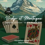 bridge_montagne_petit
